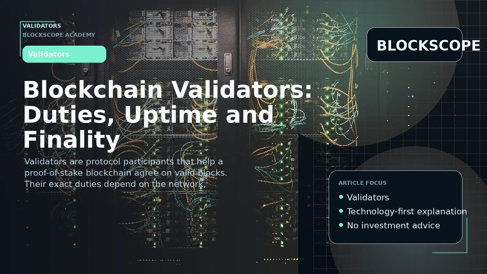 Blockchain Validators: Duties, Uptime and Finality